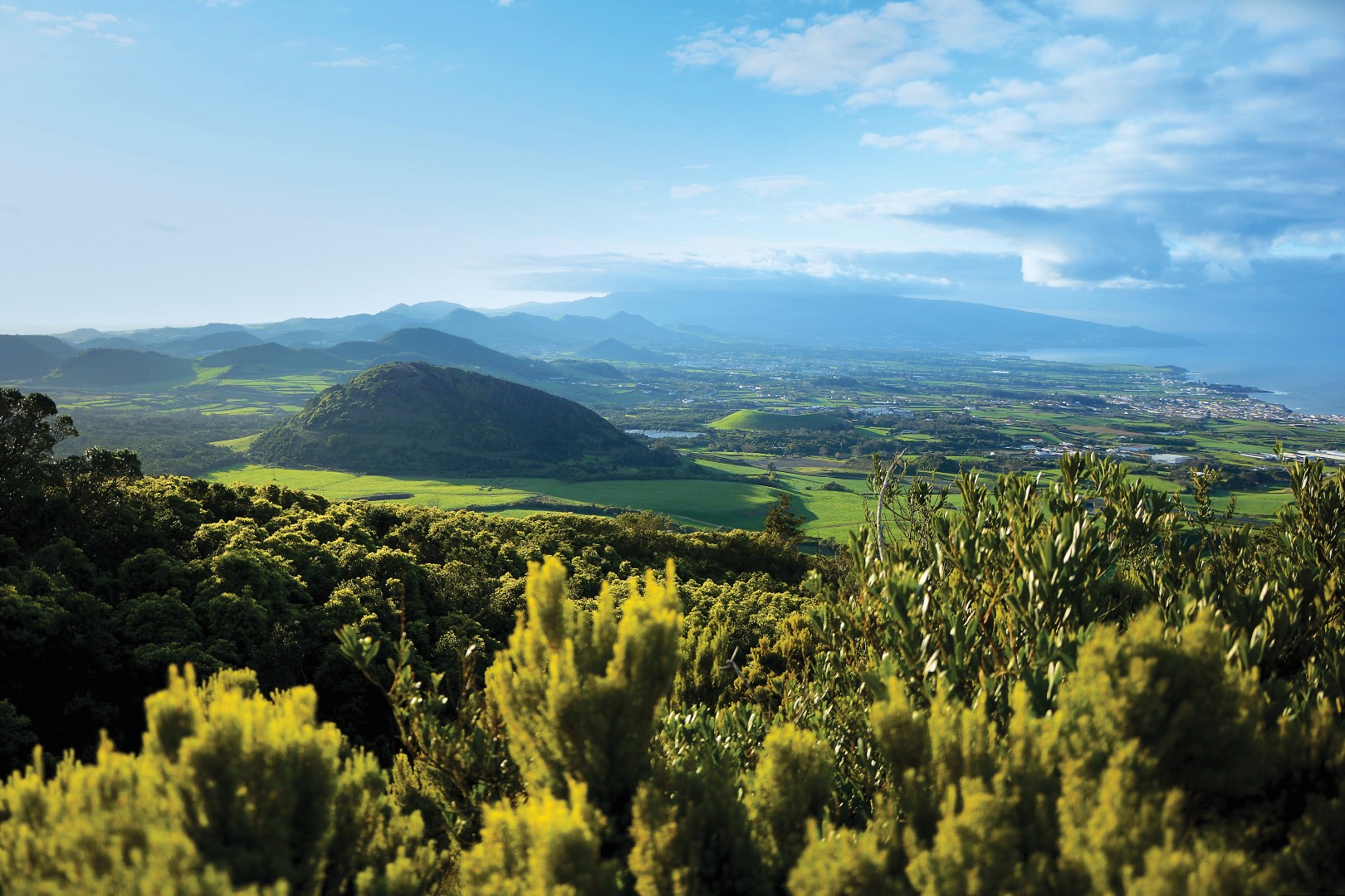 Pião no Terreiro - Pico, Queimada, São Miguel Arcanjo! - Balai